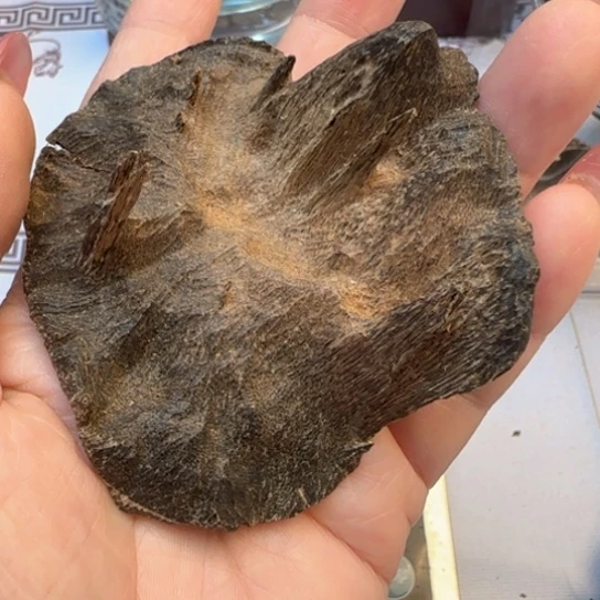 沉香摆件海南老包头15.2克