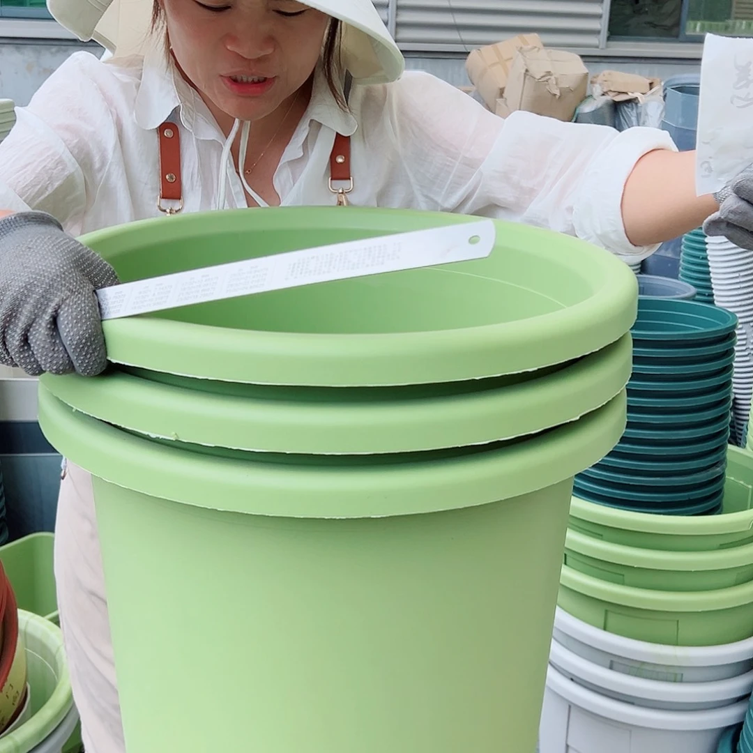 四季盆9#果绿色4个无托