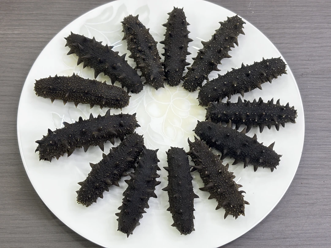 【国标】北方顶火底播海参拉缸盐半干海参批发滋补