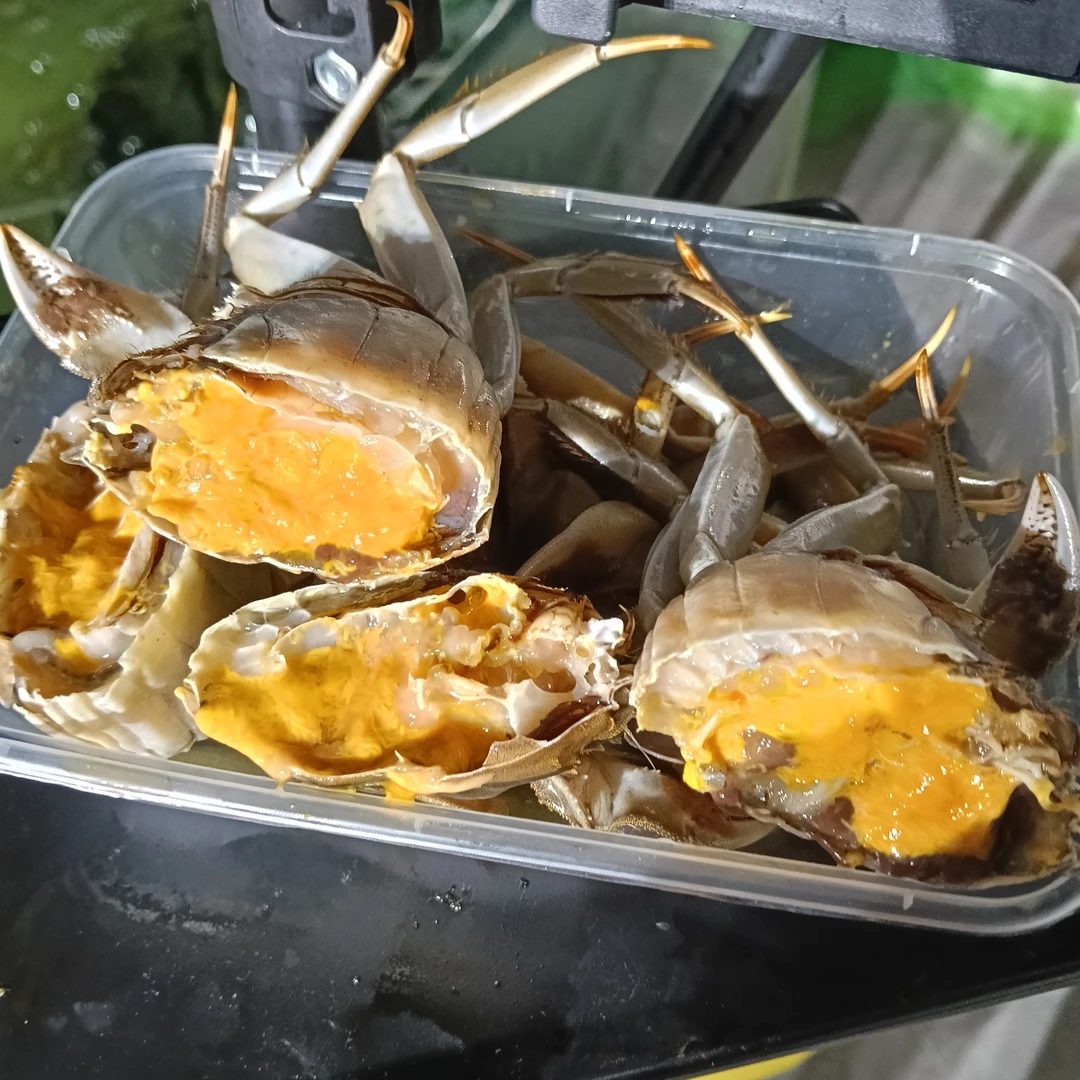 冮苏活蟹（单只4两公蟹）