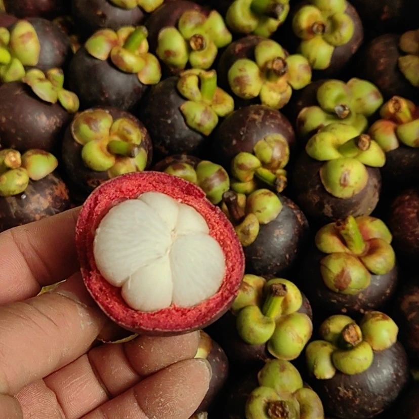 泰国空运鲜山竹，一盒30元，一盒3斤，颗颗大白肉