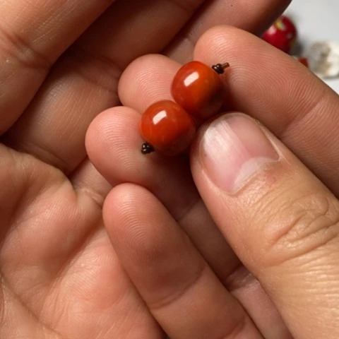 戴***牛玛瑙/玉髓未镶嵌珠子