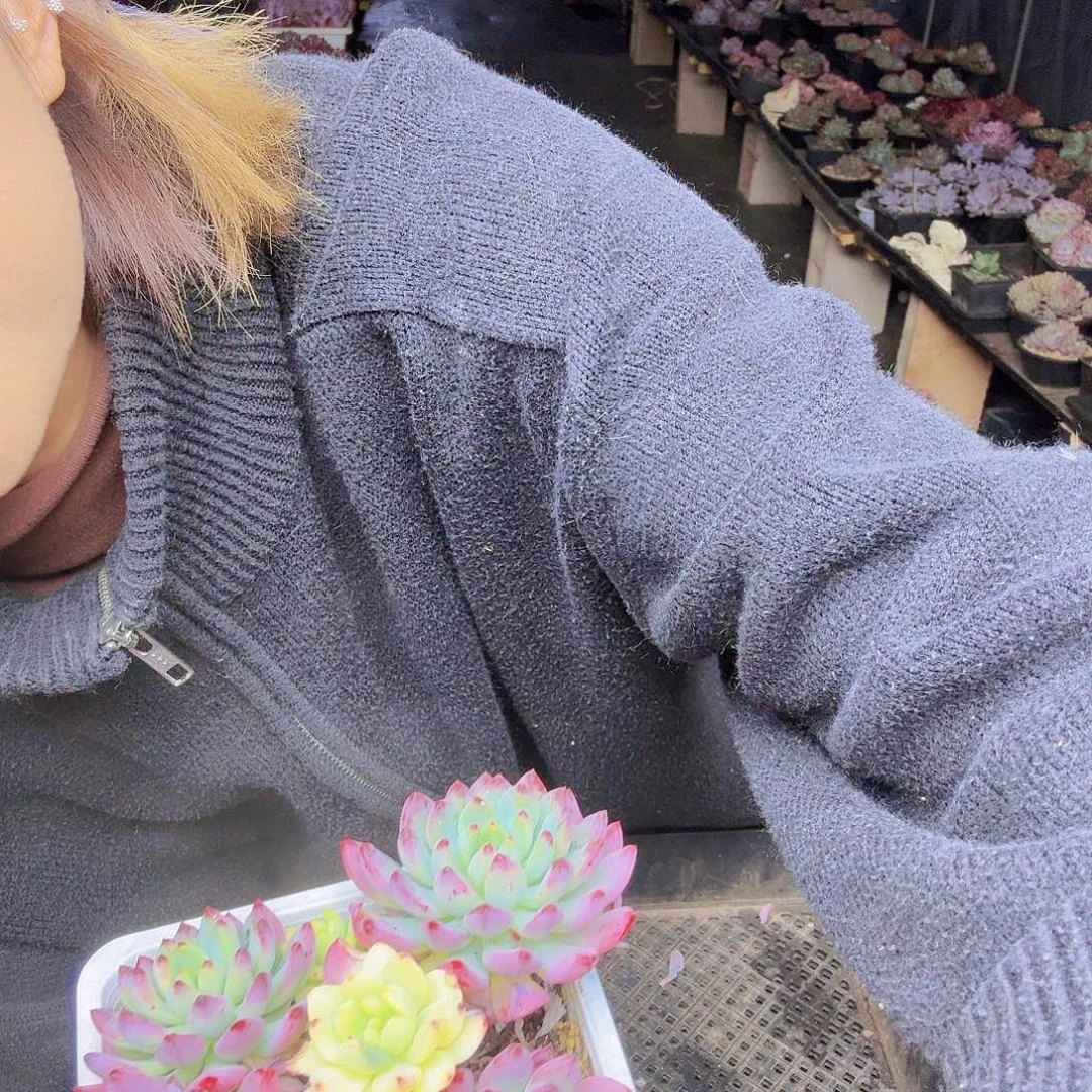 胡***财008蓝苹果景一物一拍