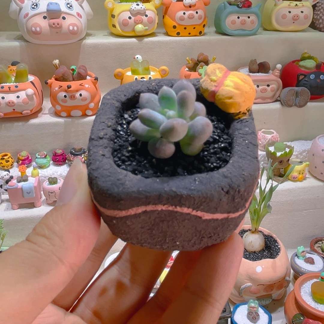 025草莓汤圆带盆带土手工盆
