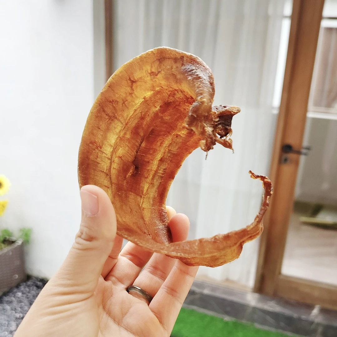 土鳘公胶 正三门土鳘公鱼胶花胶