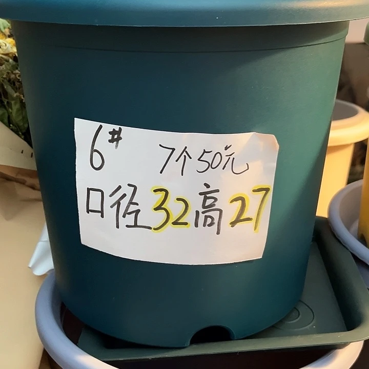 树脂四季盆6号军绿7个，无托