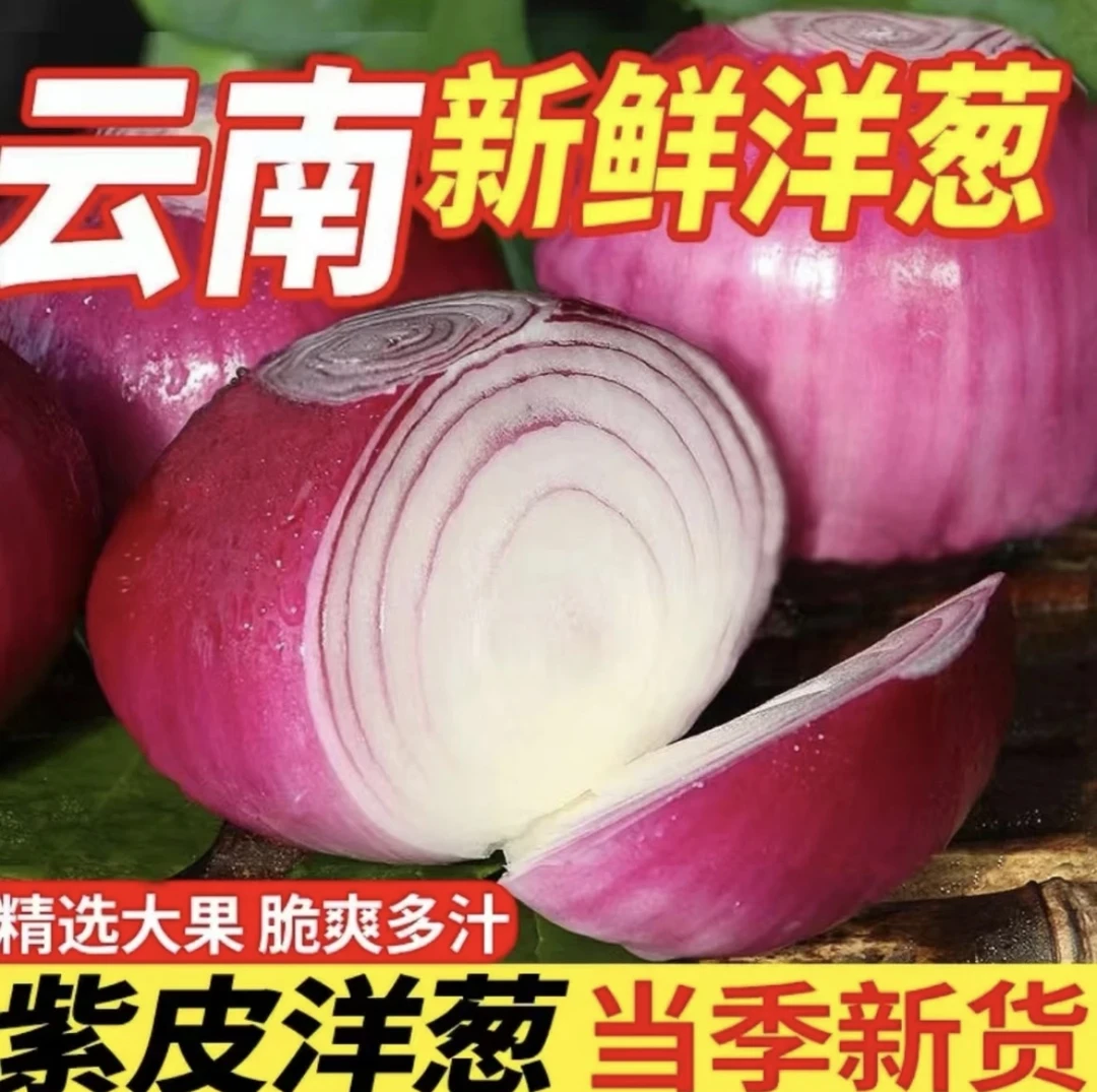 正宗云南甜味洋葱紫皮水果洋葱现挖现发可生吃可凉拌可炒菜