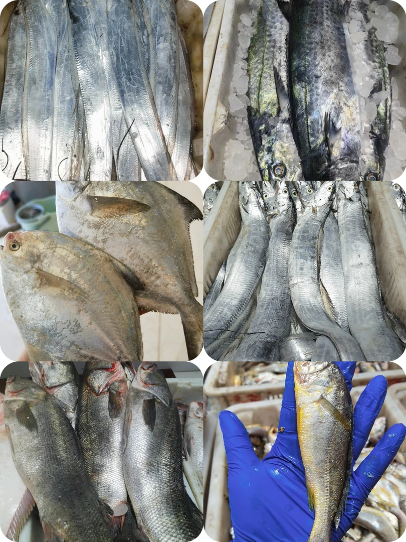 2号青岛海鲜直播间现场称重随时改价，拍下NO退，一人一单定制