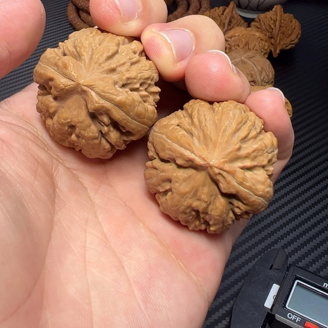 文玩核桃把件37霸王龙全品