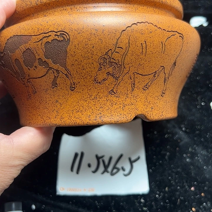 wwwww色色娃娃抓起