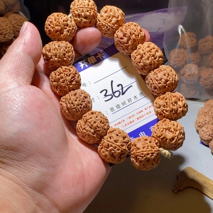 手串金刚菩提362号尺寸23➕针孔