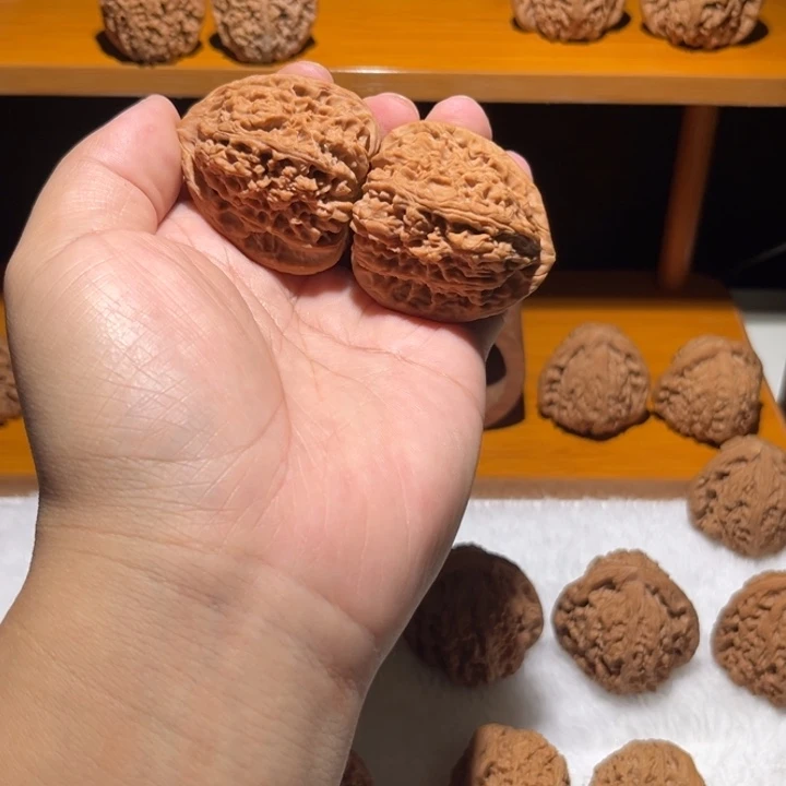 E***C42尺寸三角天残南将