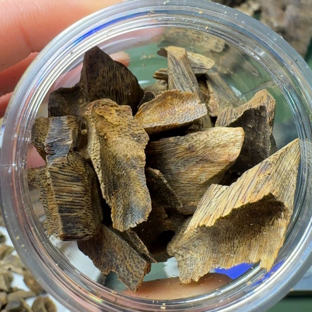 沉香手把件海南千里香牛肉干块料20克