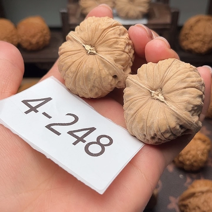 核桃41全品南瓜墩