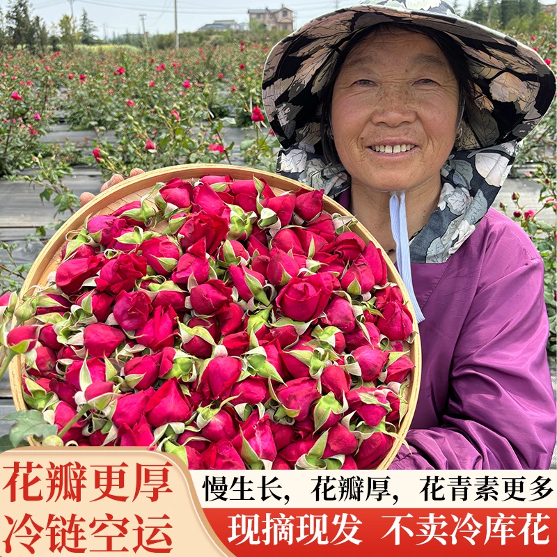 云南新鲜墨红玫瑰玫瑰花骨朵泡醋酵素馅料