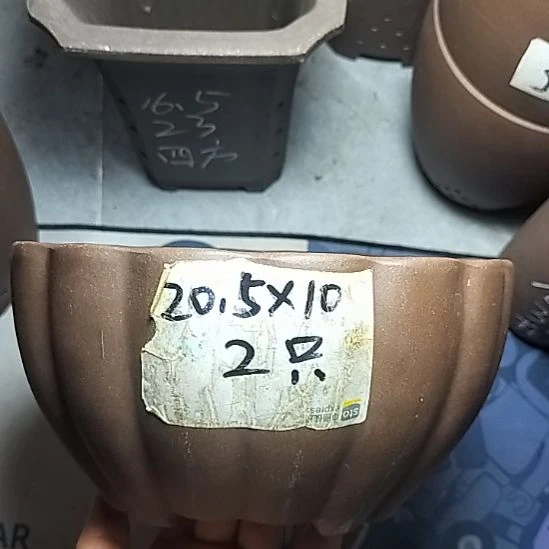 南瓜两个紫砂花盆