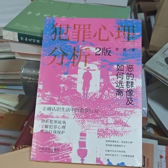 犯罪心理分析二版恶的群像及如何远离？