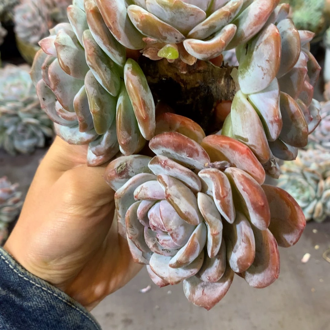 哈哈哈哈哈哈哈哈哈