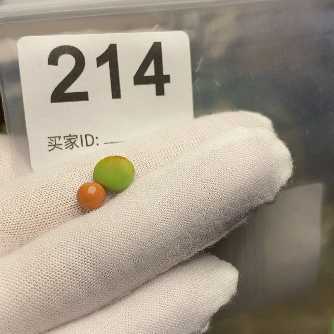 南红玛瑙未镶嵌珠宝奇石