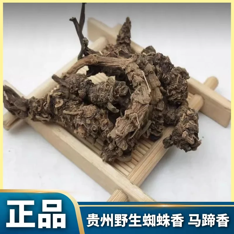 贵州野生蜘蛛香精选马蹄香山地豆缬草根新鲜干货无硫正品包邮叶菜