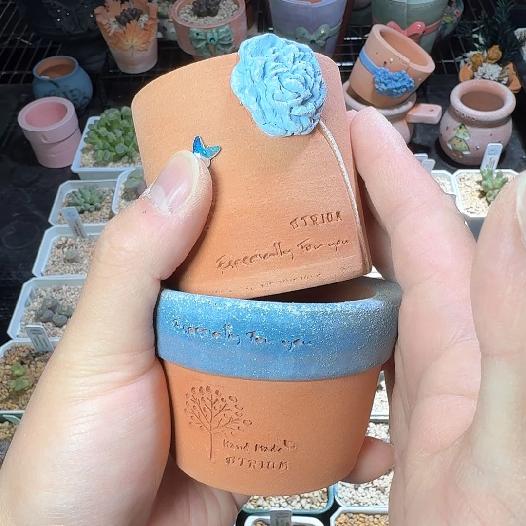 草****gdy1 草莓 心房花