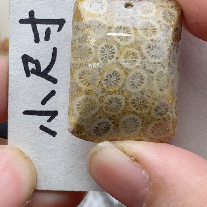 颈饰未镶嵌硅化珊瑚（珊瑚玉）