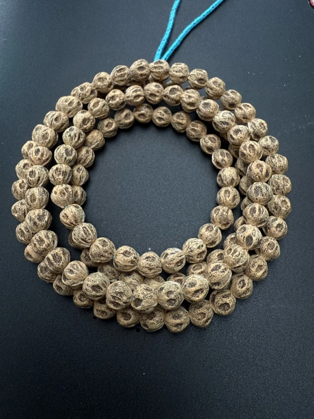 热振一哥《英雄》定制级百香籽