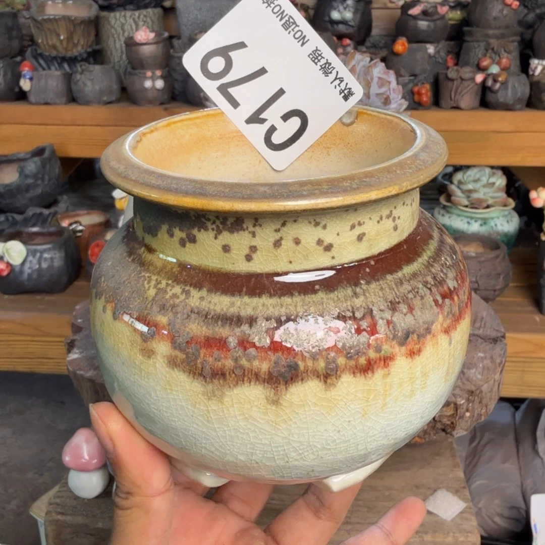 重庆小燕子欢迎大家179