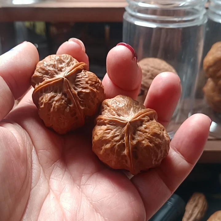 文玩核桃把件666666666666666