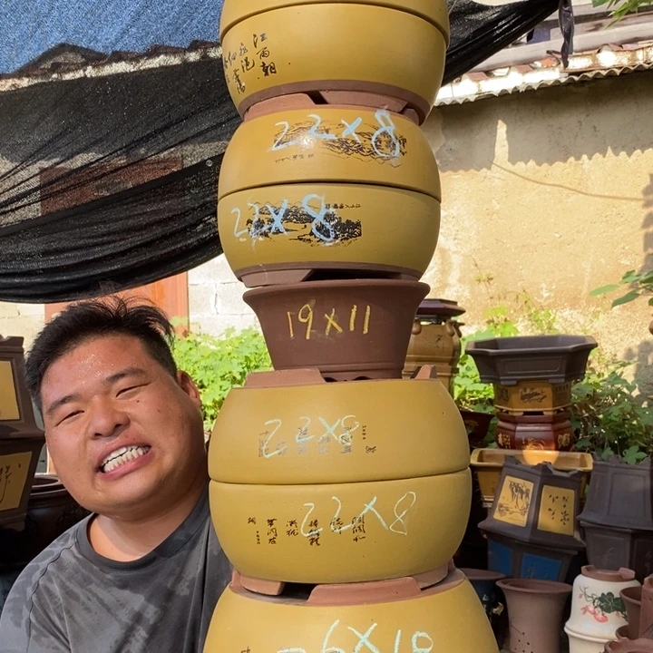 紫砂花盆没有什么不可以没有的