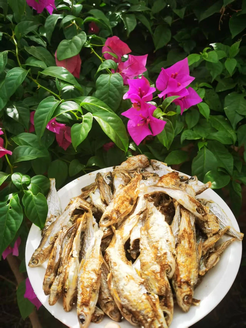 【鱼干合集】圩镇赶集农家河鱼干，溪水石斑鱼干，河虾，千年鱼花