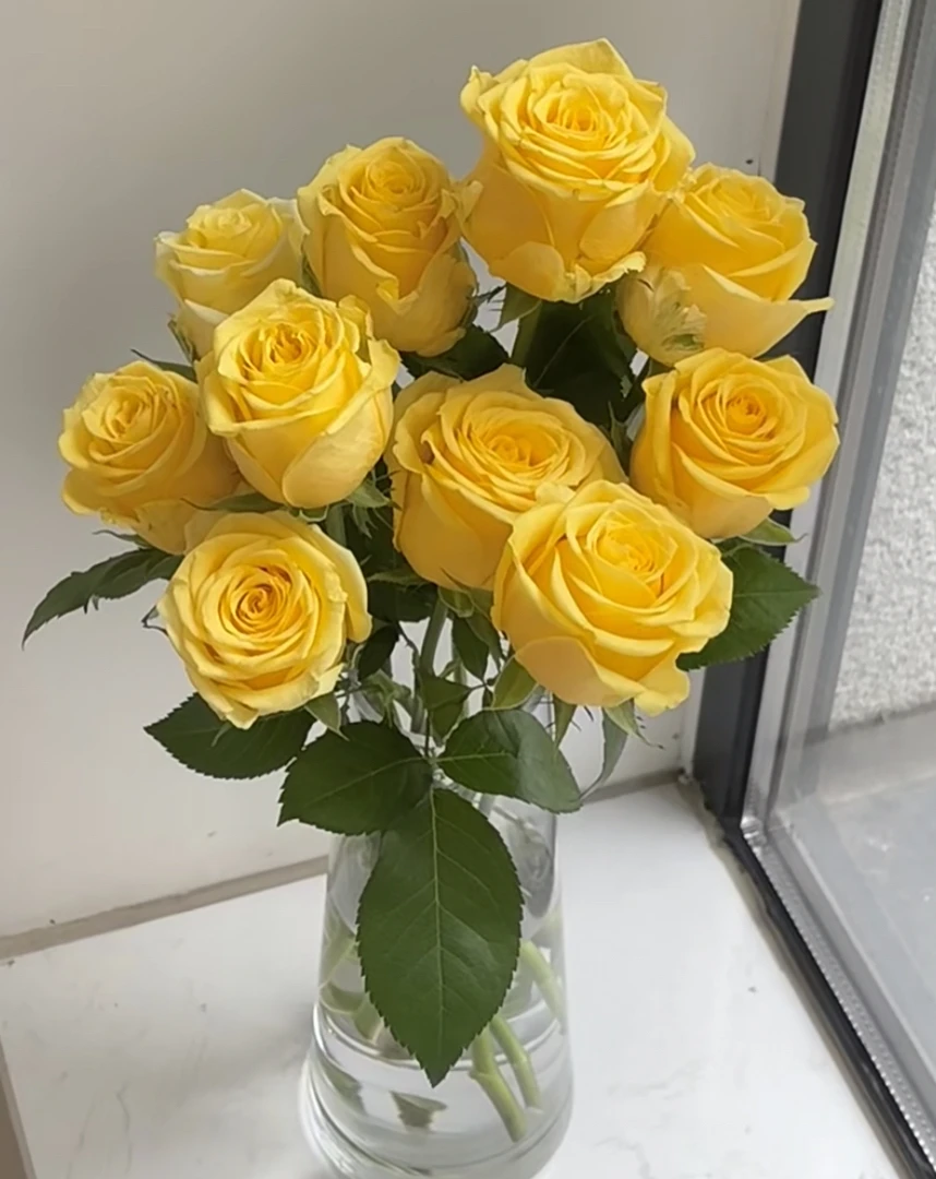 （曼）金枝玉叶15支➕5支防损鲜花任意满两单包邮