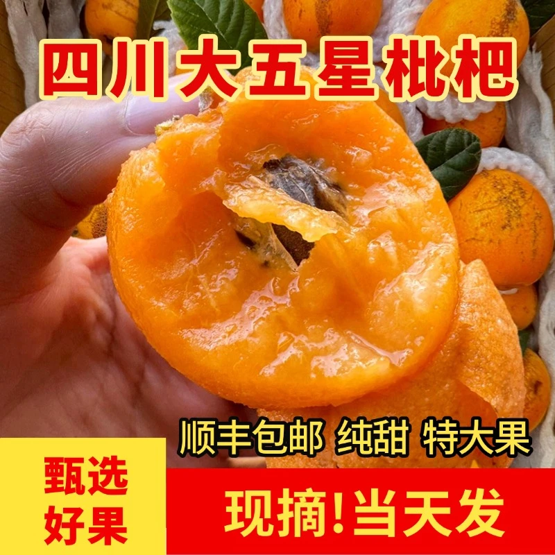 【顺丰包邮】枇杷特大果四川大五星枇杷鲜果甜琵琶当季新鲜水果整箱