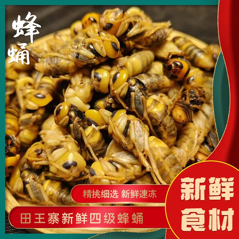 【紫云】地蜂蛹熟冻四级可油炸新鲜高蛋白金环虎头蜂蜂蛹