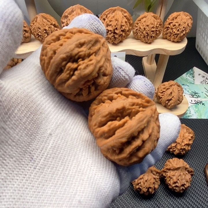 好*好秦岭灯笼38尺