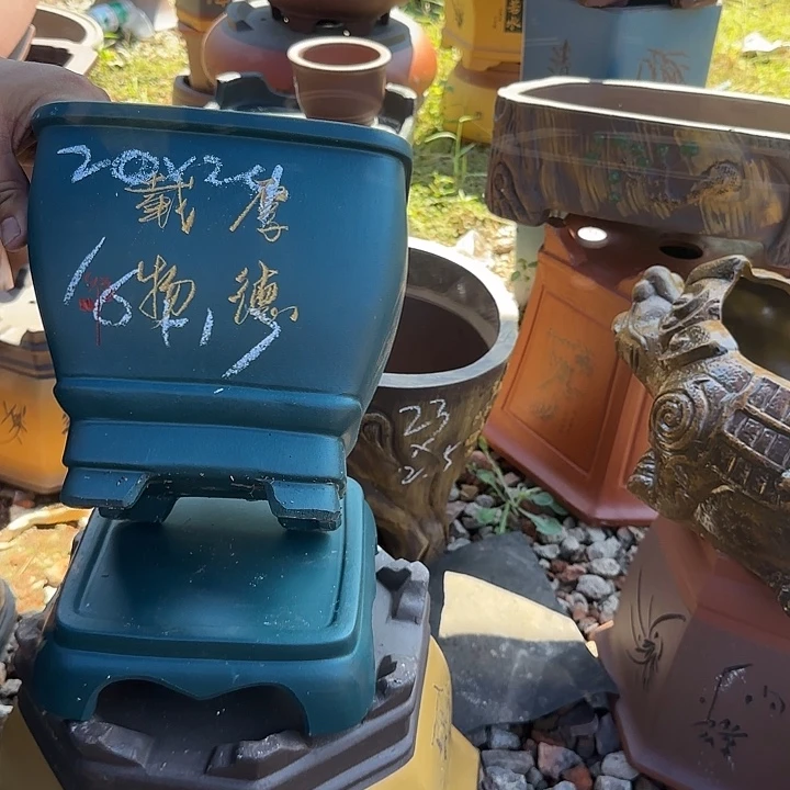 紫砂花盆紫砂花盆