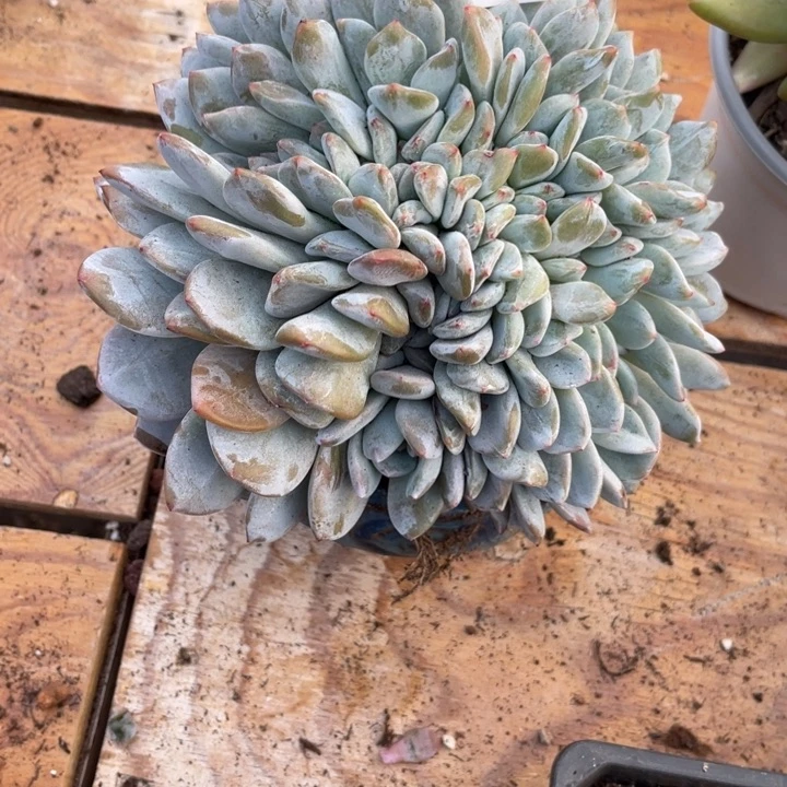 hhhhhhhh哈哈哈哈哈922