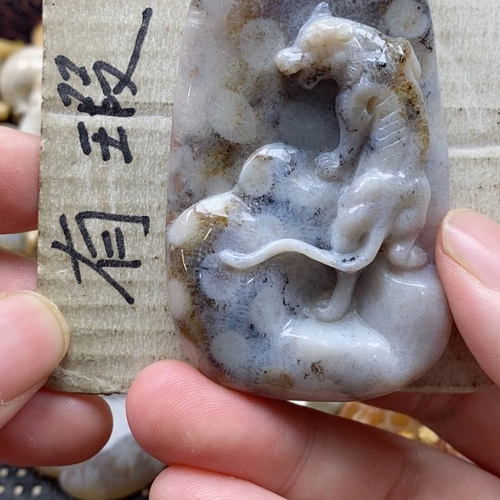 硅化珊瑚（珊瑚玉）颈饰未镶嵌