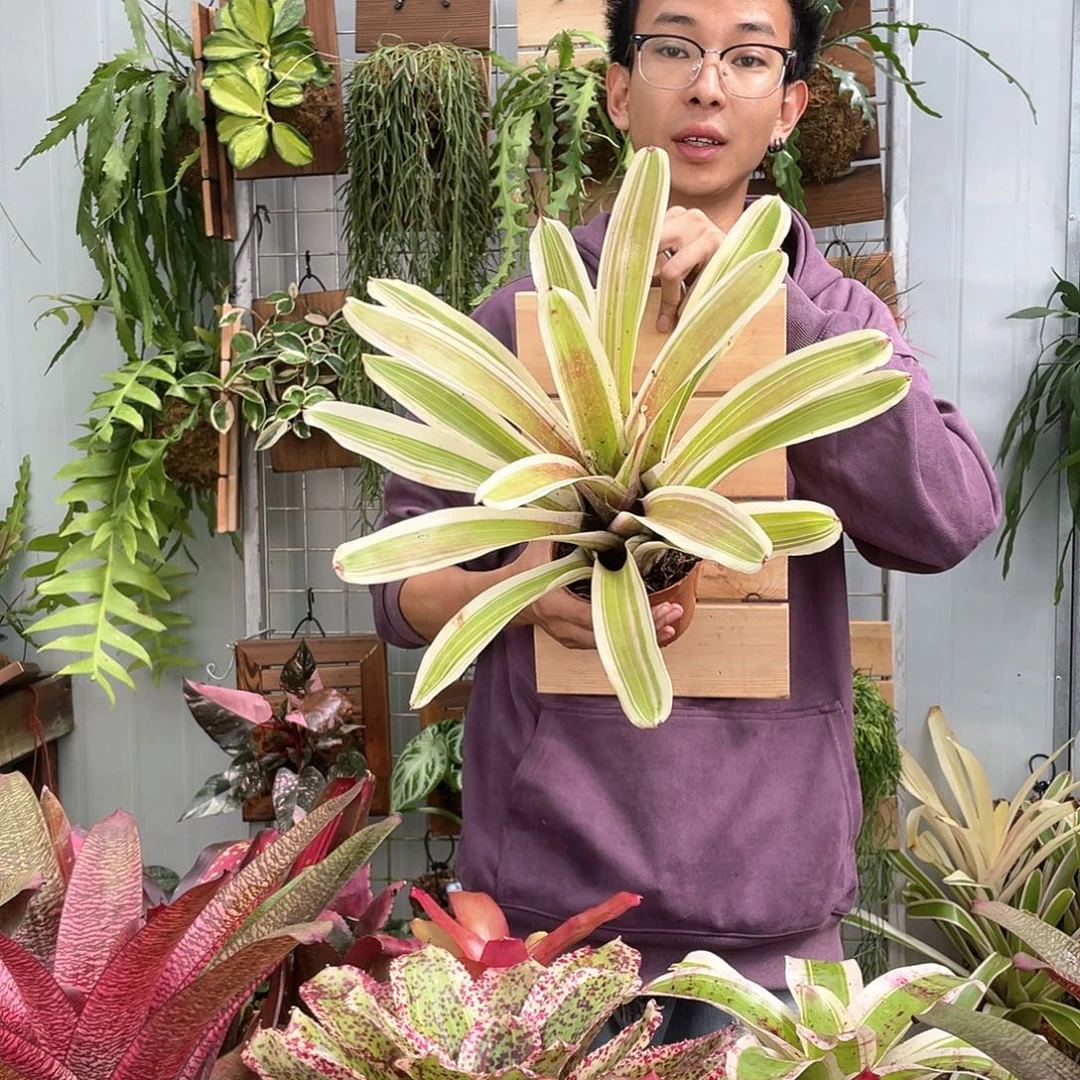 马丁 上板48 1111