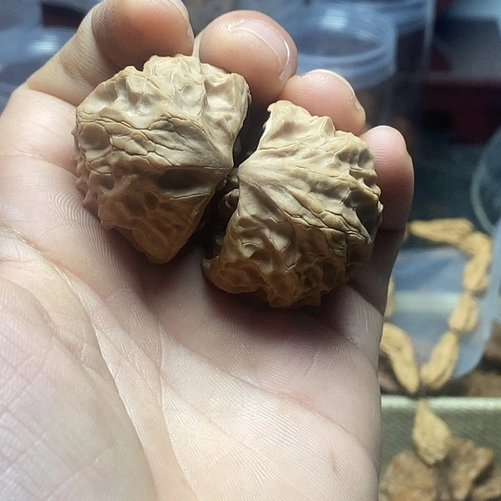️***️吊坠桃核白蛇骨聚宝盆蛇打底修尖
