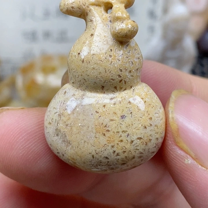 颈饰未镶嵌硅化珊瑚（珊瑚玉）