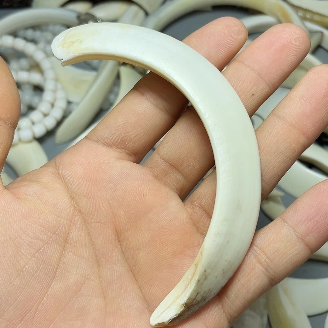 猪牙手串/手链猪牙