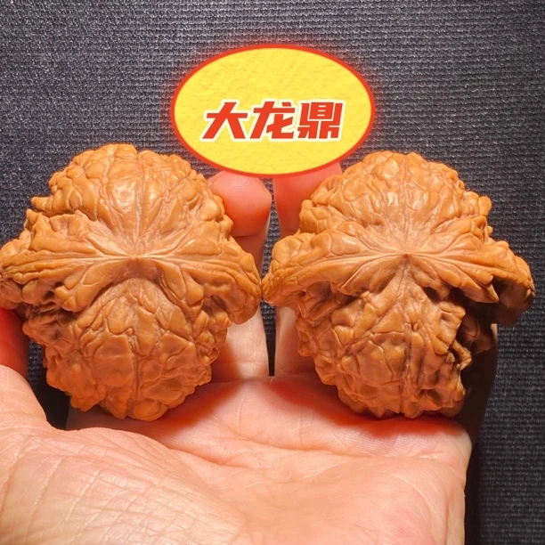大龙鼎 全品高端霸气一款文玩核桃 纹路粗旷肉厚 粗棱大肚 推荐款