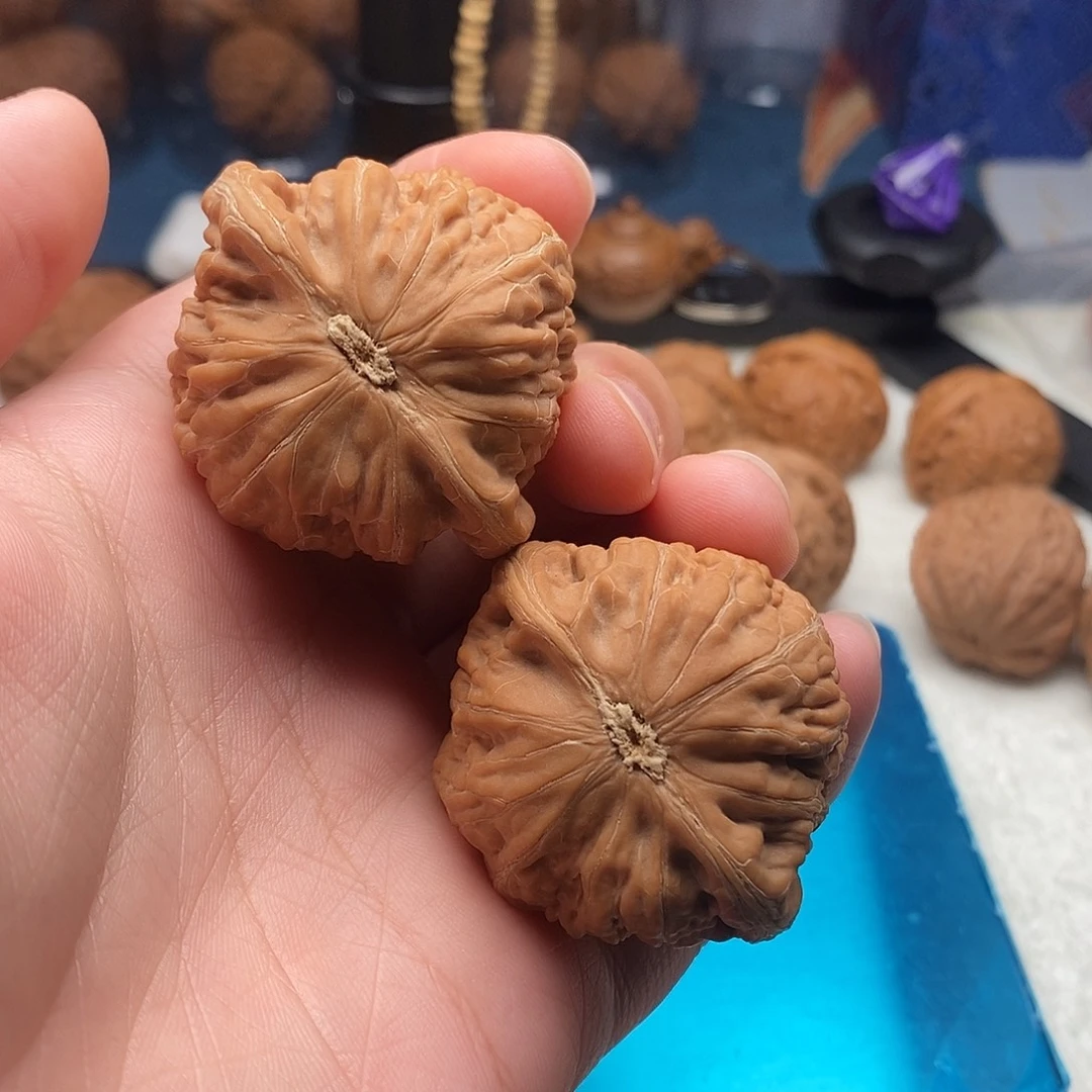 红****43尺寸铁锤妹妹文玩核桃