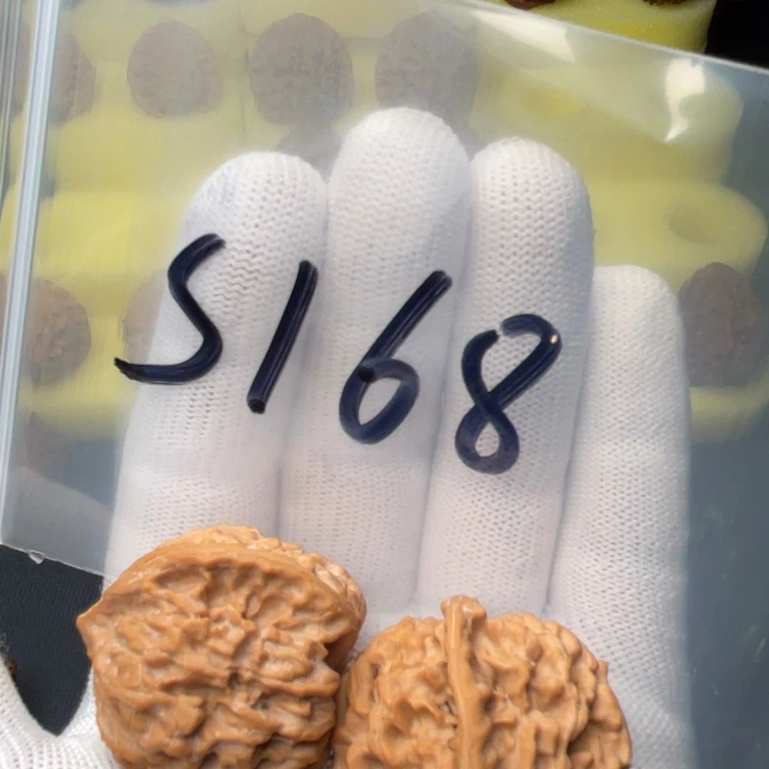 文玩核桃把件石核全品35