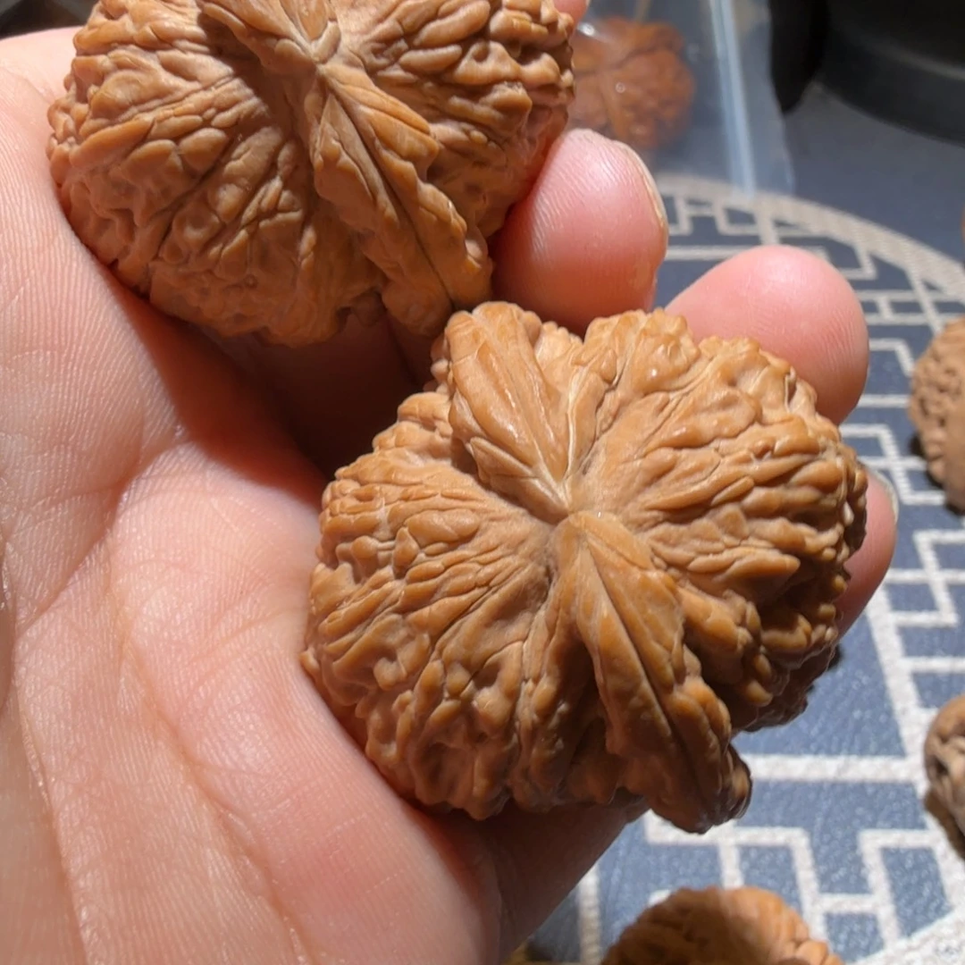 跋***里把件猴头核桃白狮子
