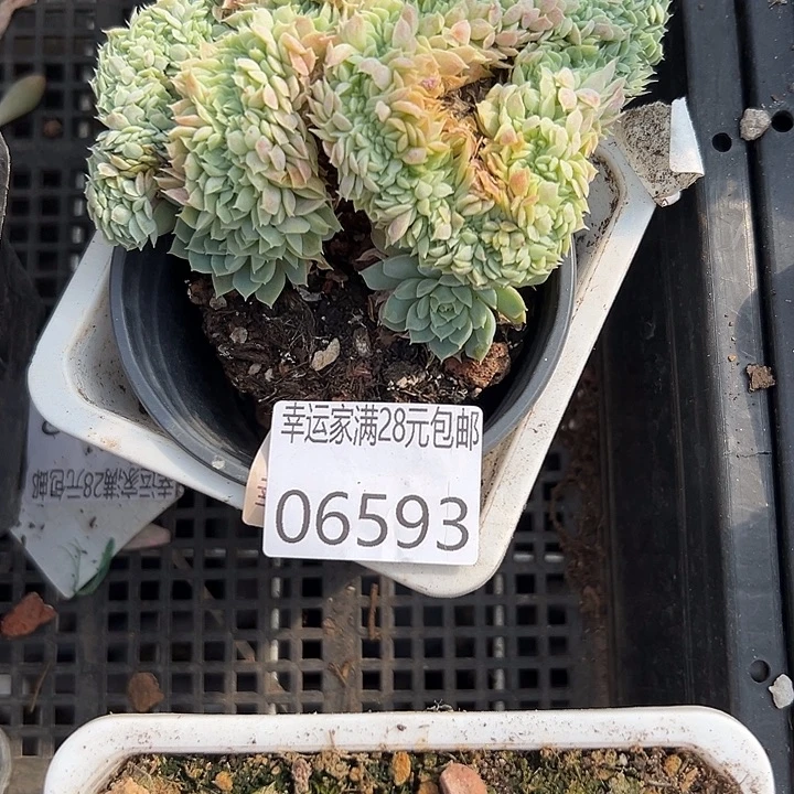 幸运的是我还没遇到过