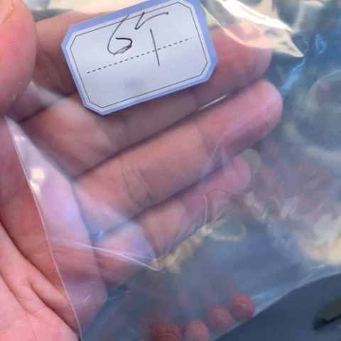 【闪购商品】颈饰未镶嵌翡翠宝****酒