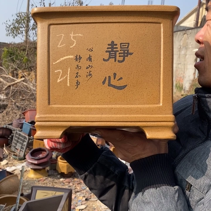 紫砂花盆紫砂特疼 紫砂