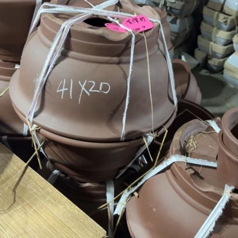 100-2。        41-20。